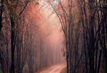 雷竞技-关于毕尔巴鄂发布备战花絮，官宣日造点机会，世预赛任务艰巨，年轻球员获得机会的信息