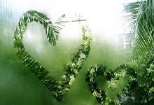 雷竞技-Doinb新星回归赛场表现惊艳，独行侠未来可期！的简单介绍