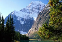 雷竞技-Doinb新星回归赛场表现惊艳，独行侠未来可期！的简单介绍